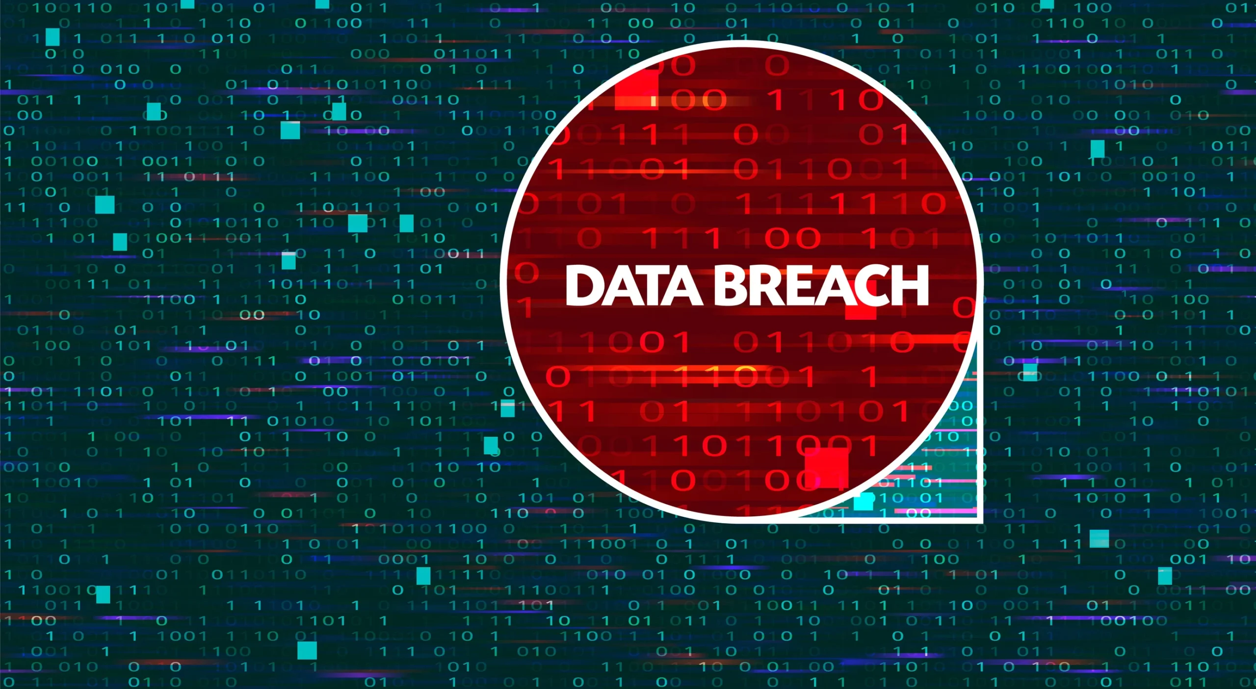 Address Data Breach Claim Guide – Your Rights Explained